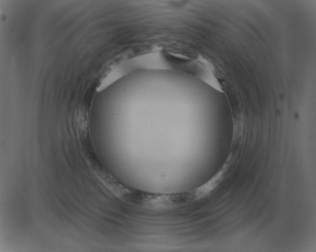 X0000081280186200702012228