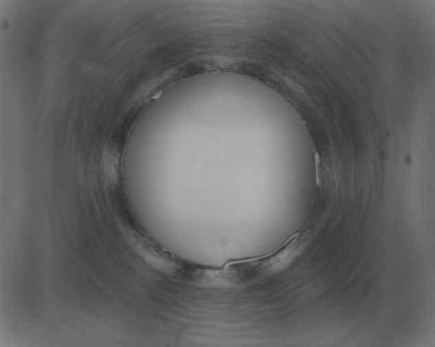 X0000081280188200702012228