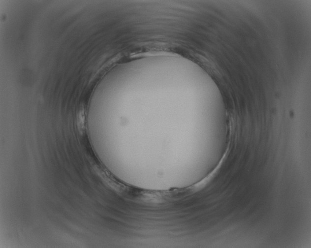 X0000081280190200702012228