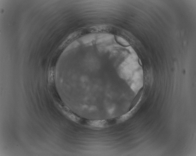 X0000081280191200702012228