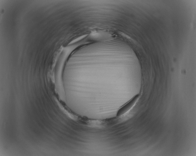 X0000081280192200702012228