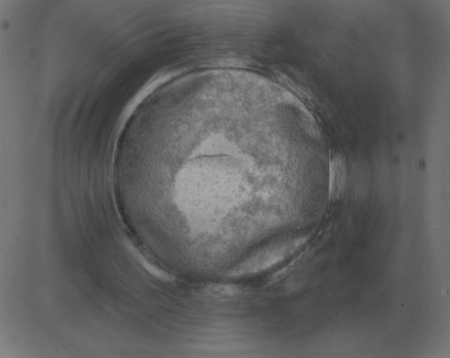 X0000081280195200702012227