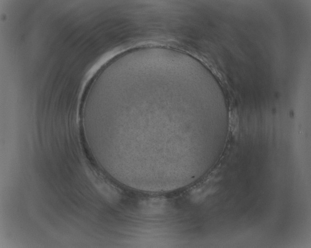 X0000081280196200702012227