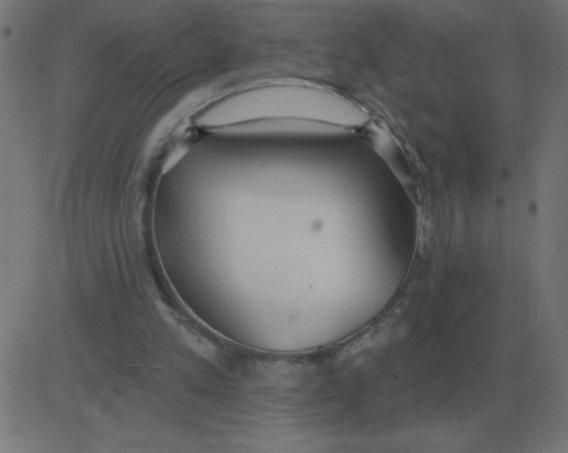 X0000081280197200702012227