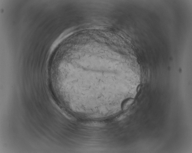 X0000081280198200702012227