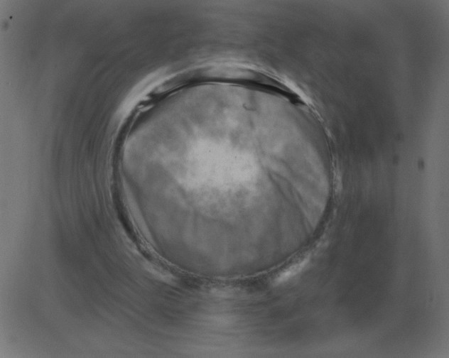 X0000081280199200702012227