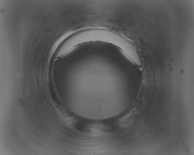 X0000081280200200702012227