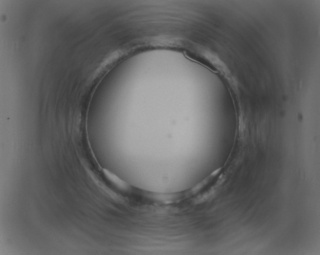 X0000081280201200702012227