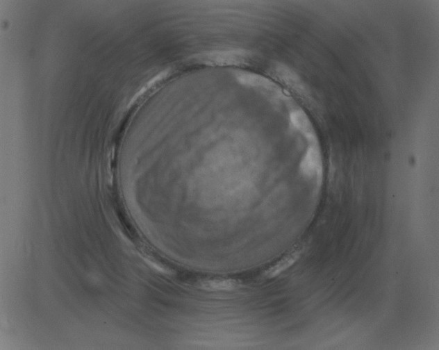 X0000081280202200702012227