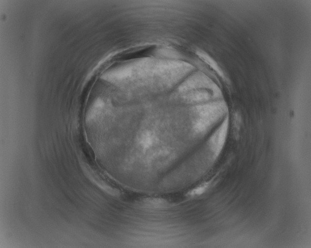 X0000081280203200702012227