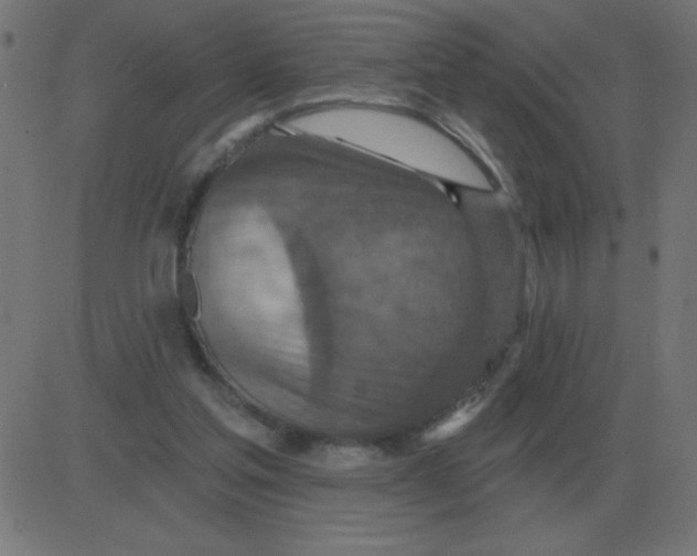 X0000081280205200702012227