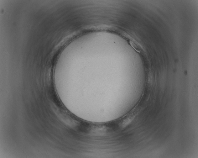 X0000081280206200702012227