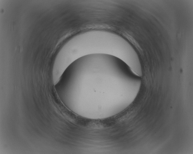 X0000081280207200702012227