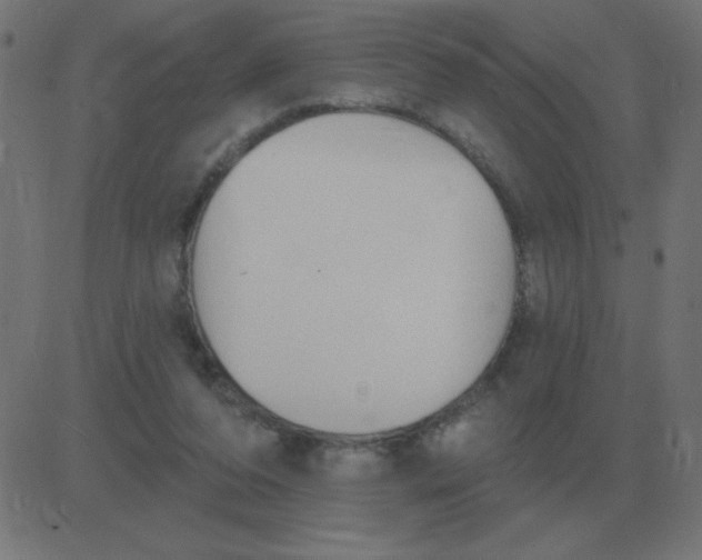 X0000081280208200702012227