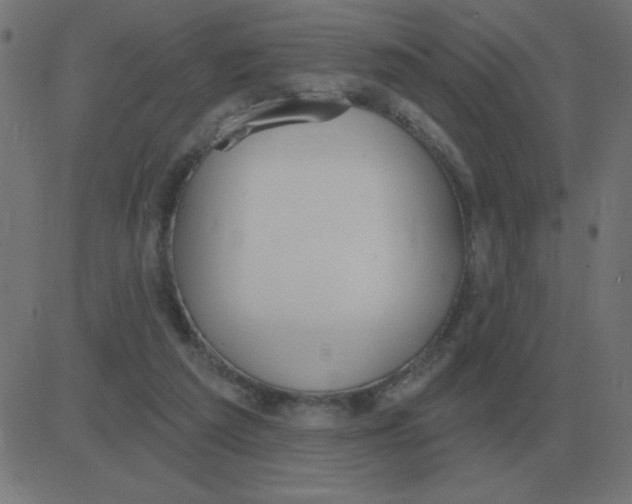 X0000081280209200702012227