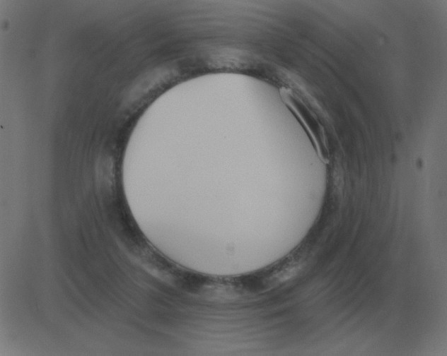 X0000081280211200702012227