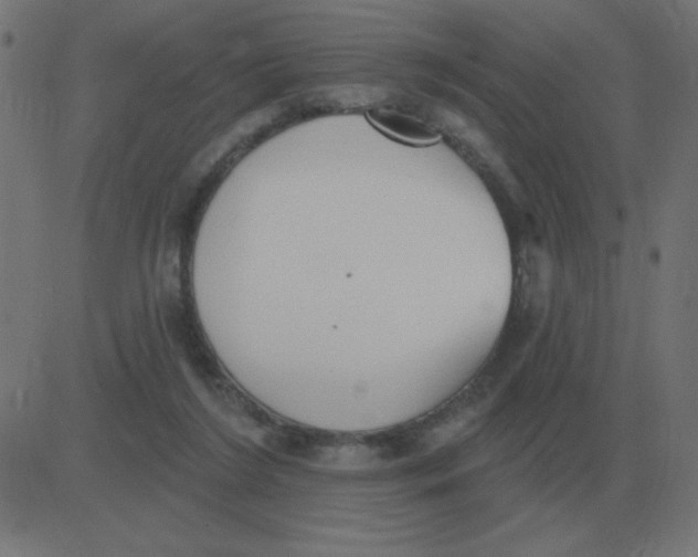 X0000081280212200702012227