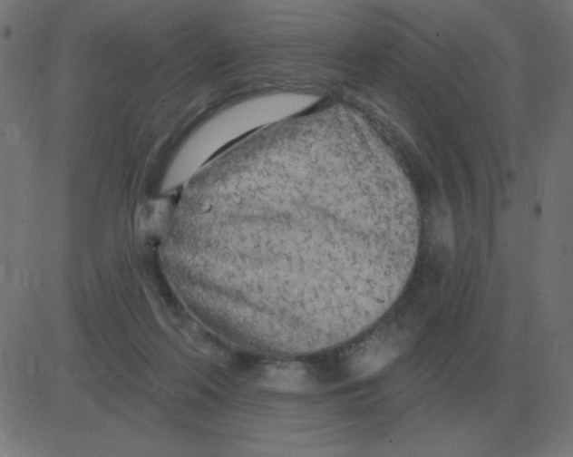 X0000081280214200702012227