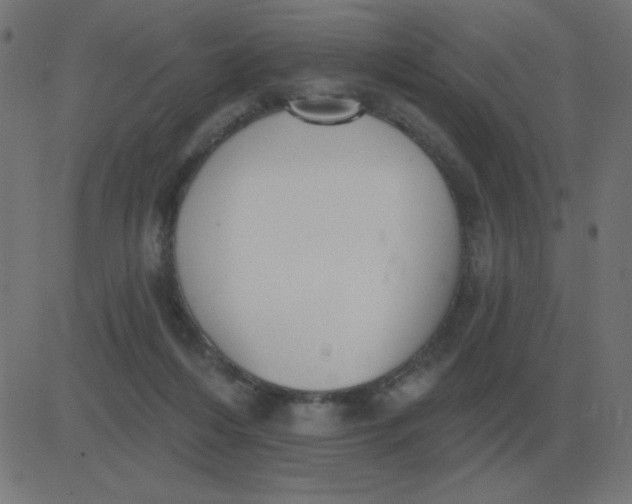 X0000081280216200702012227