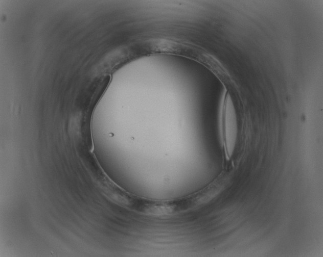 X0000081280217200702012227