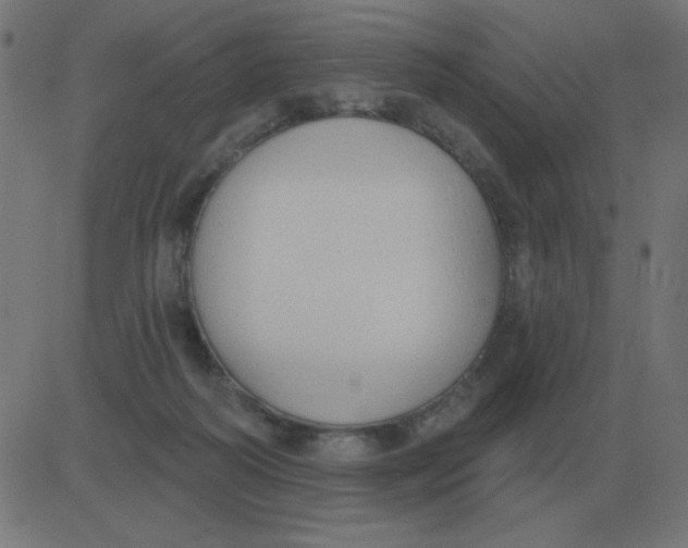 X0000081280218200702012227