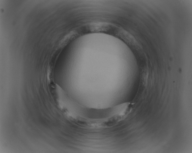 X0000081280219200702012227