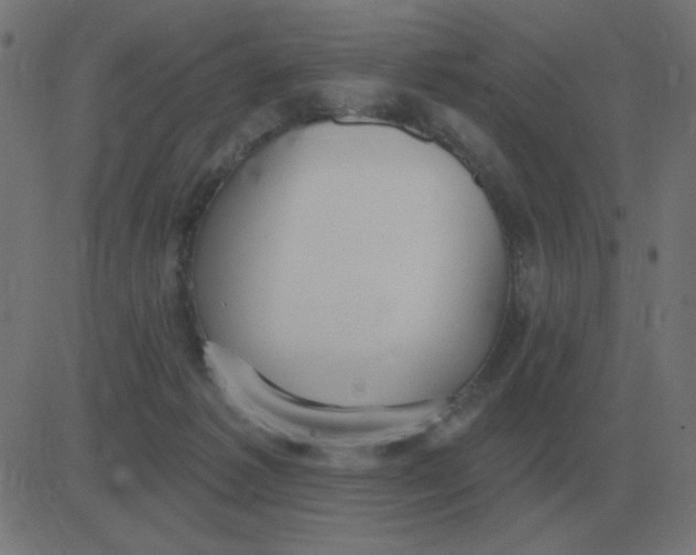 X0000081280221200702012227