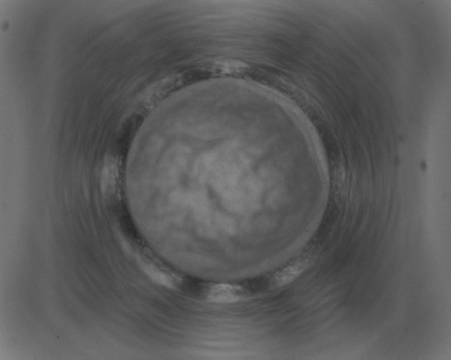 X0000081280222200702012227