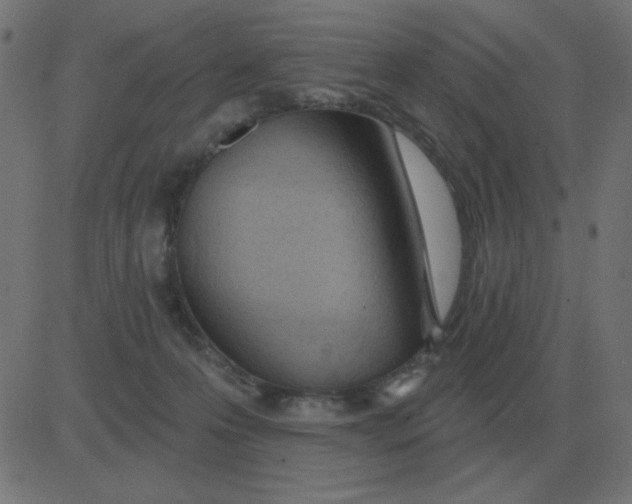 X0000081280223200702012227