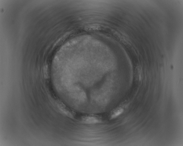 X0000081280224200702012227