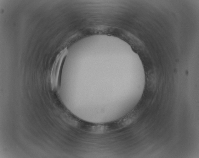 X0000081280225200702012227