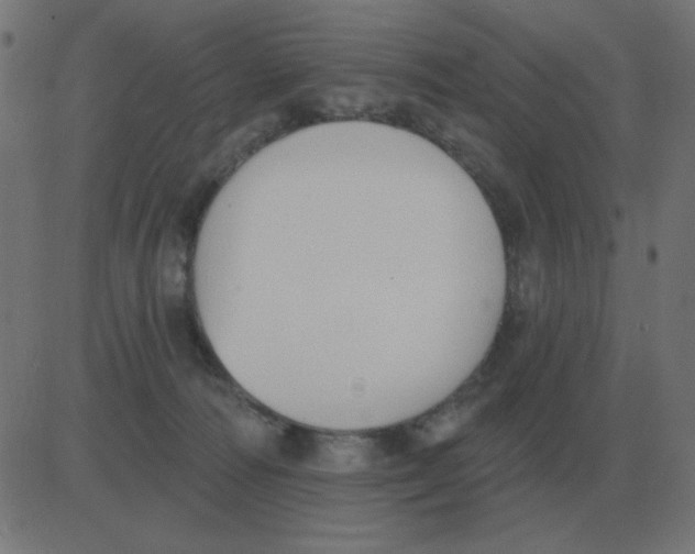 X0000081280226200702012227