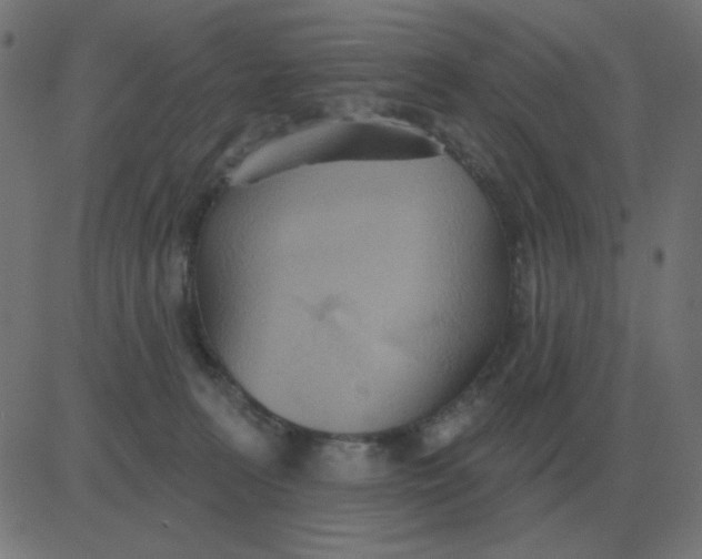 X0000081280227200702012226