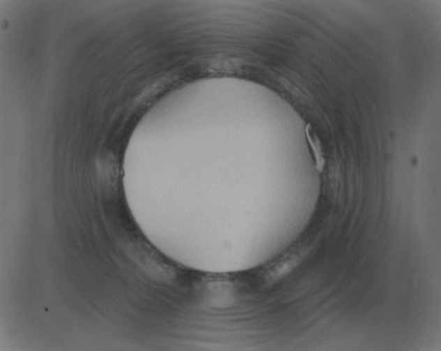 X0000081280228200702012226