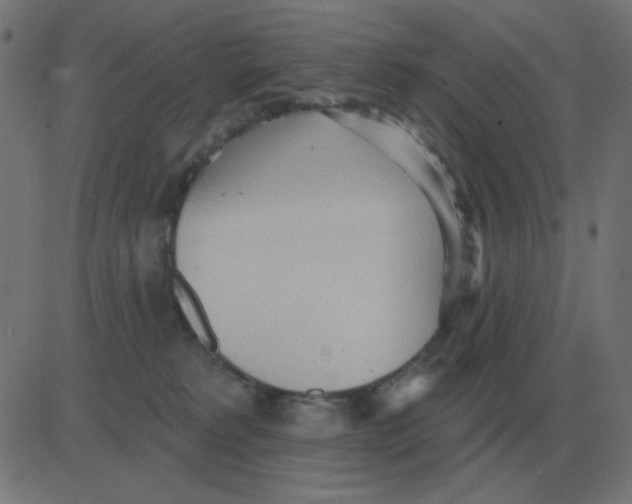 X0000081280229200702012226