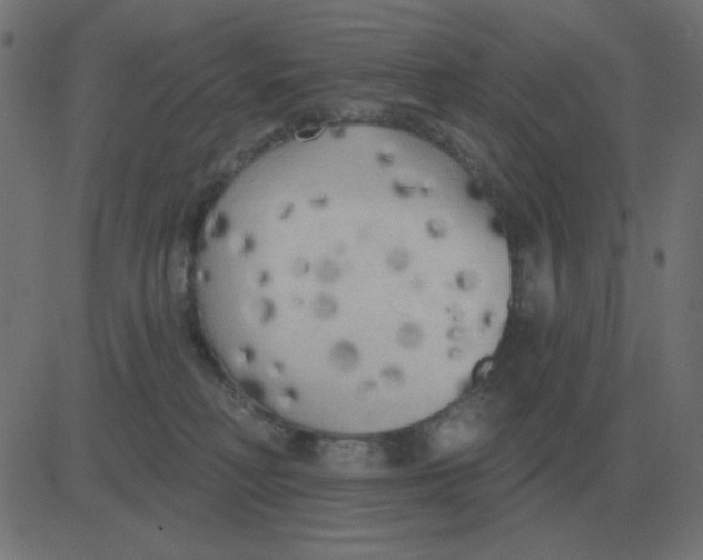 X0000081280230200702012226