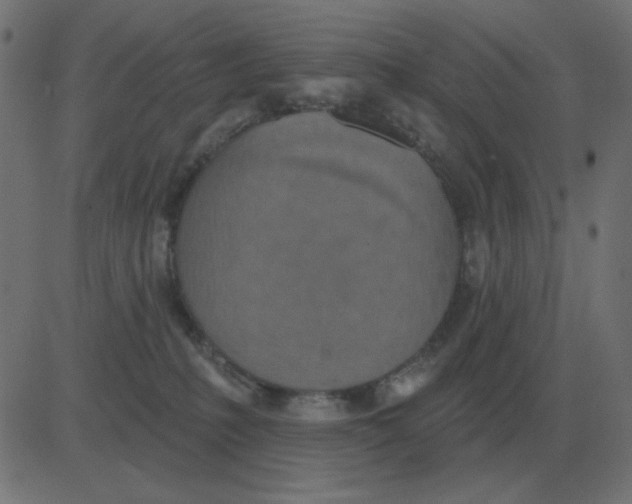 X0000081280231200702012226