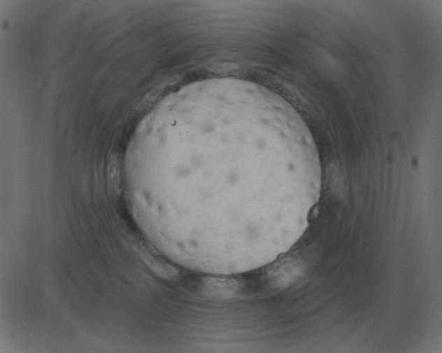 X0000081280234200702012226