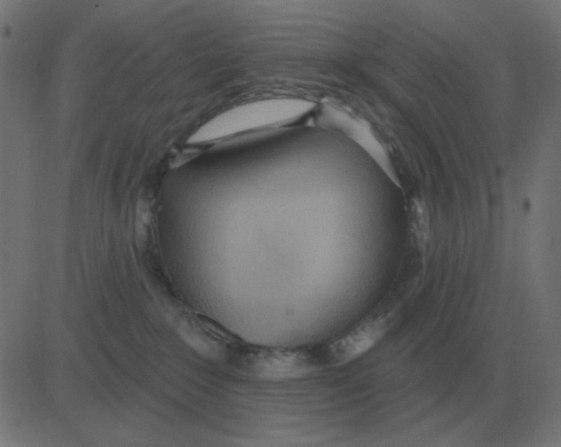 X0000081280235200702012226