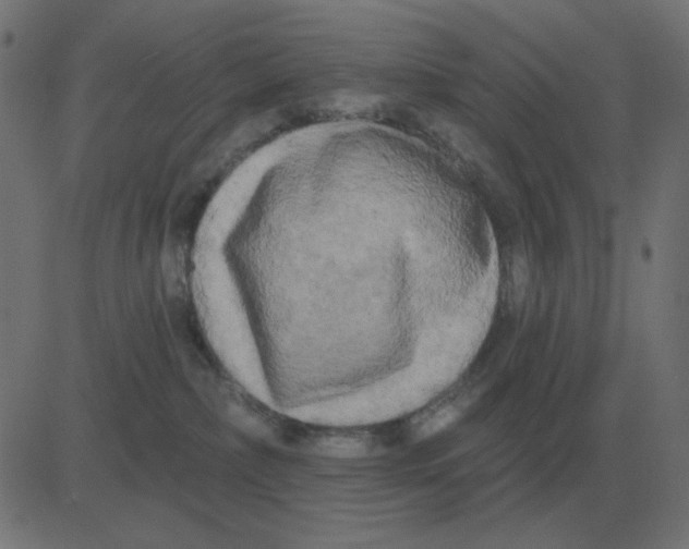 X0000081280236200702012226