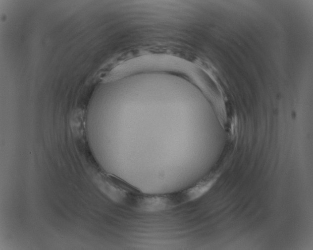 X0000081280237200702012226