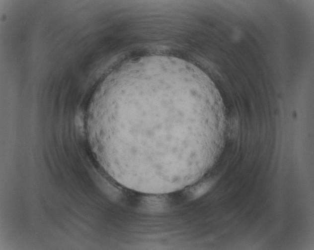 X0000081280238200702012226