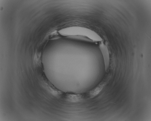 X0000081280239200702012226