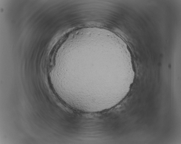 X0000081280241200702012226