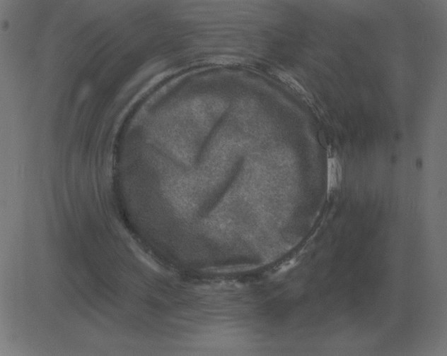 X0000081280243200702012226