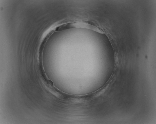 X0000081280246200702012226