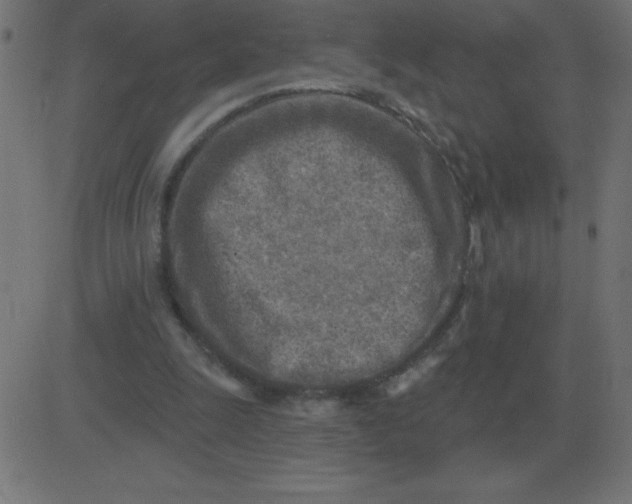 X0000081280247200702012226