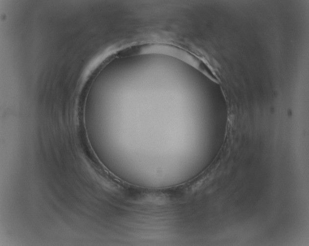 X0000081280248200702012226