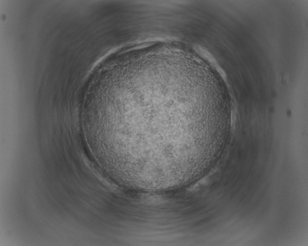 X0000081280249200702012226