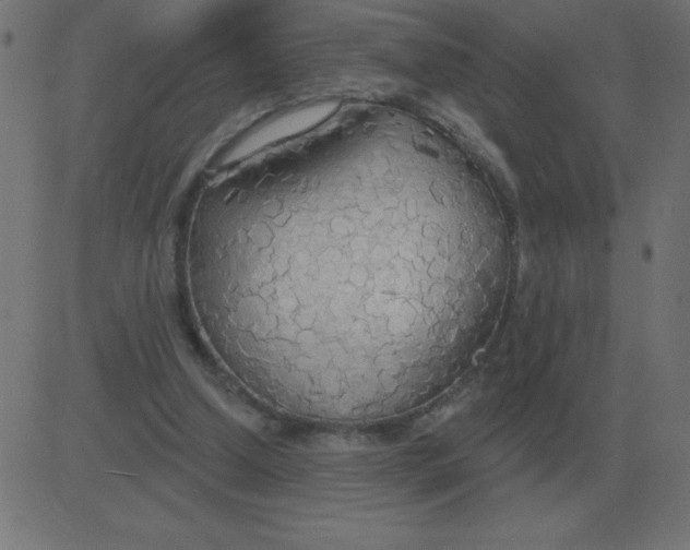 X0000081280250200702012226